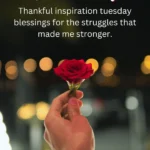 220+ Thankful Tuesday Blessings, Images & Bible Verses for a Joyful Morning