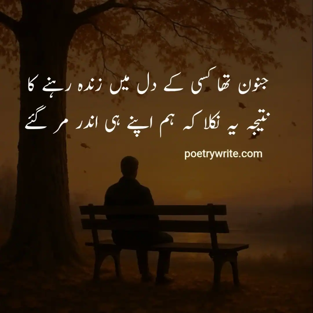 Silhouette of a person sitting on a bench under a tree at sunset.